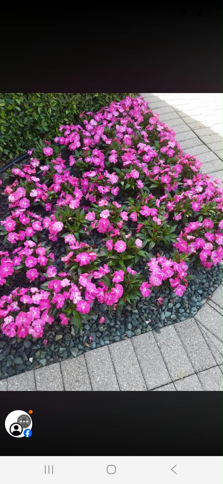 Paver Project West Palm Beach